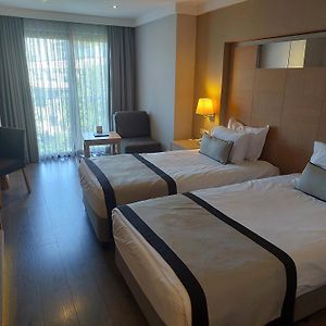 Economy Kamer